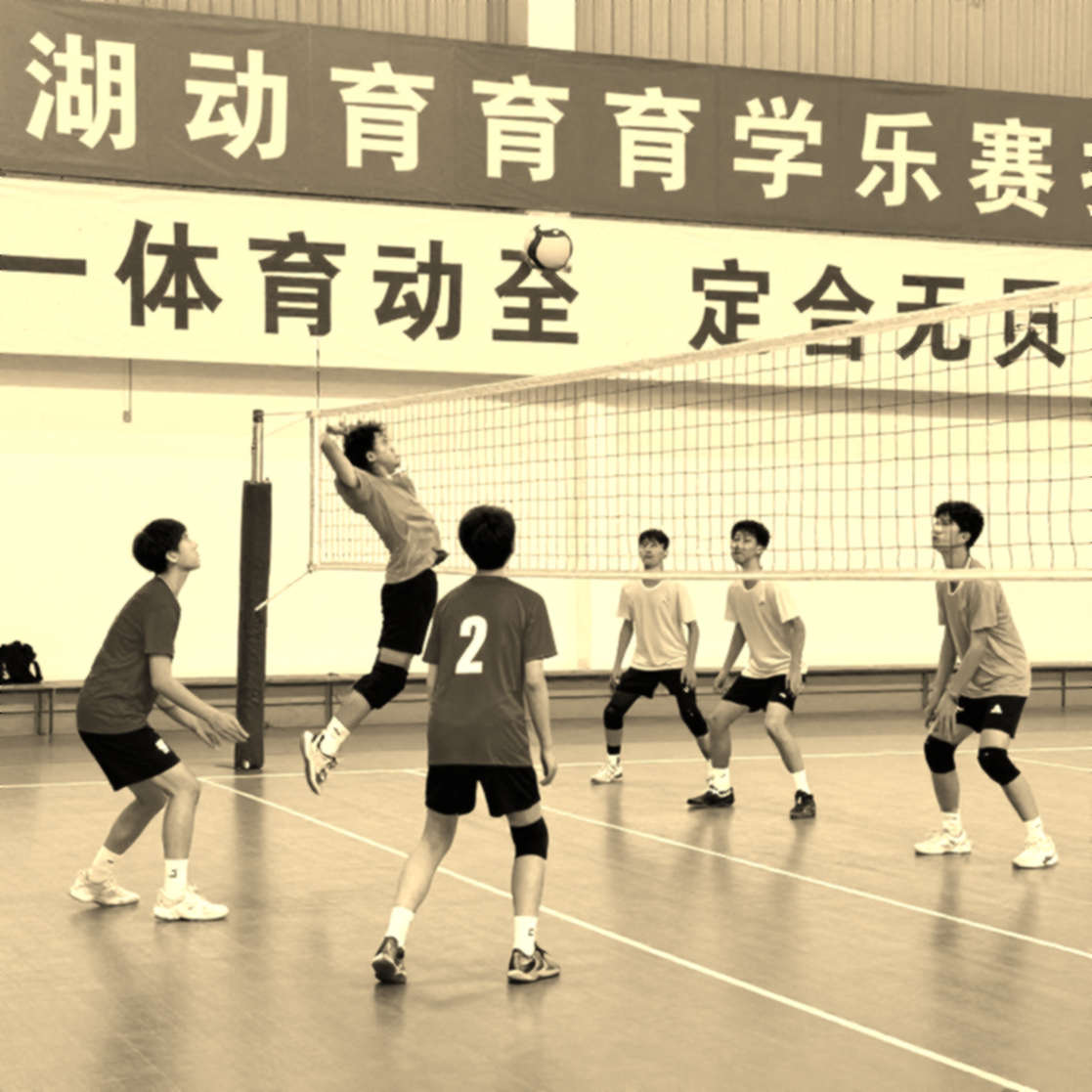 Team Vitality mất cúp tại V.Hive: 27 ngày và lỗ hổng quản trị tài sản