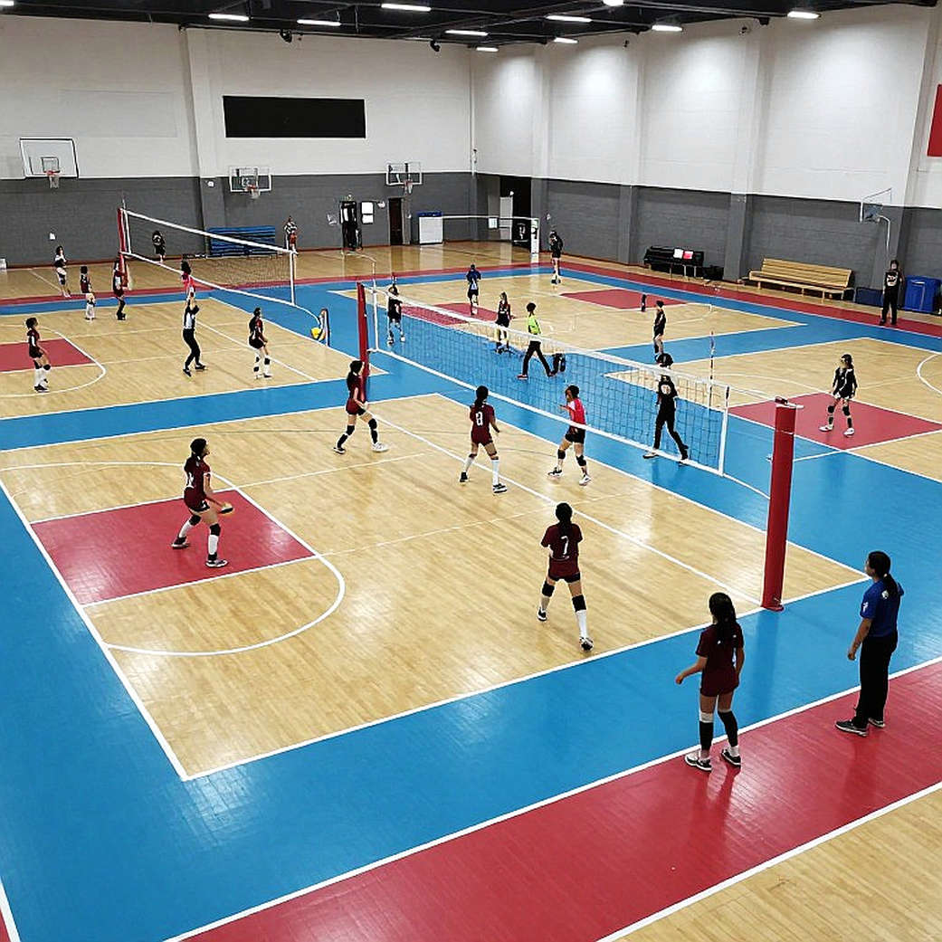 Indonesia Men's Volleyball Targets 2026 Asian Games Bronze: An Ambition Standing on an Empty Data Floor